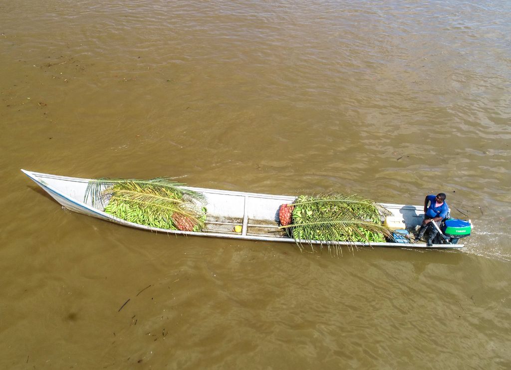 Aerofotografía en la que se aprecia a un hombre transportando plátanos a bordo de una embarcación en el río Guapi